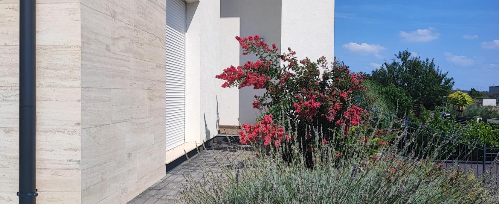 Appartamento White Column House Diosd Esterno foto